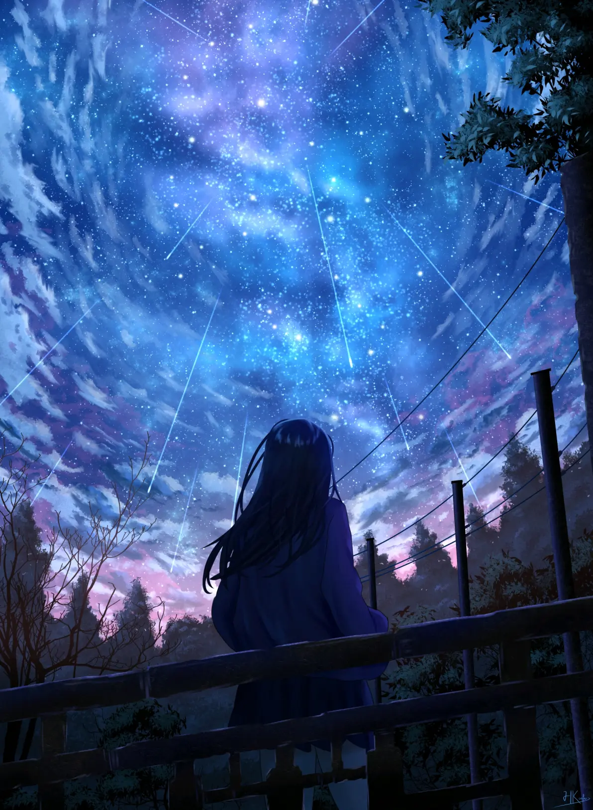 8ff2c082c35e5ab82edb5b6fe29b616b235818446.jpg 承载心愿 – 流星插画特辑