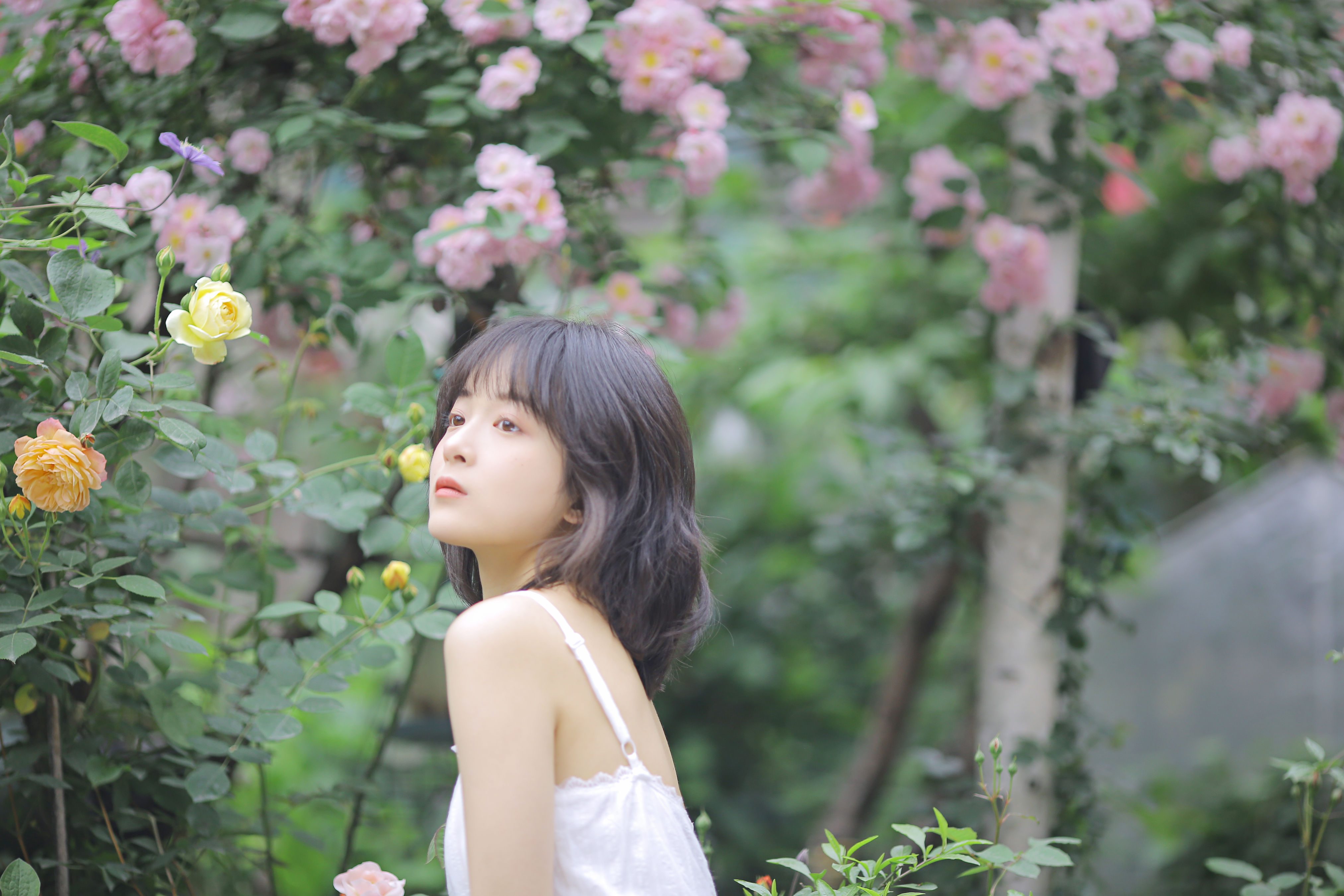 花期已致 美好如初_甜酒八號 – 写真美图作品在线欣赏