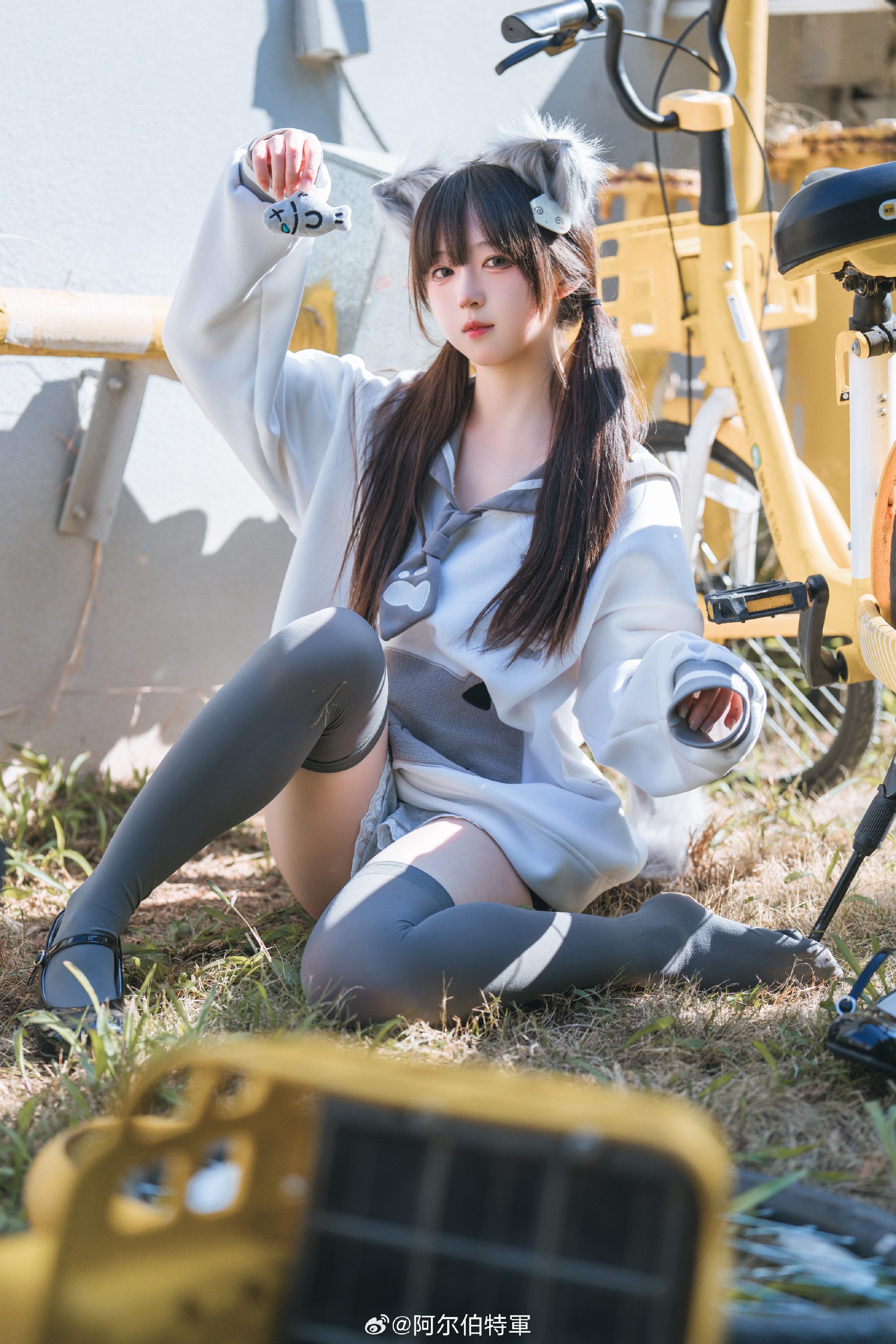 摄影图册 | 走，载你去嗦小鱼干！