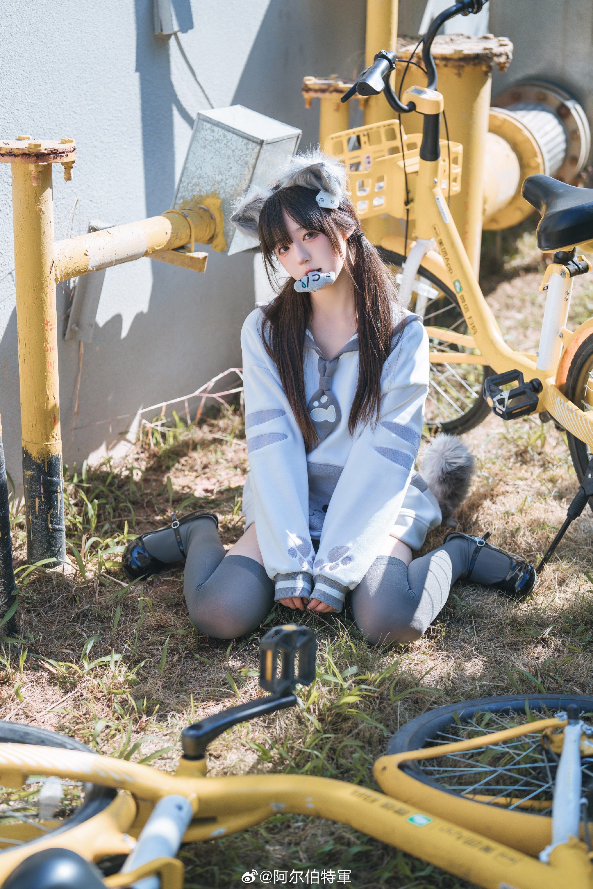 摄影图册 | 走，载你去嗦小鱼干！