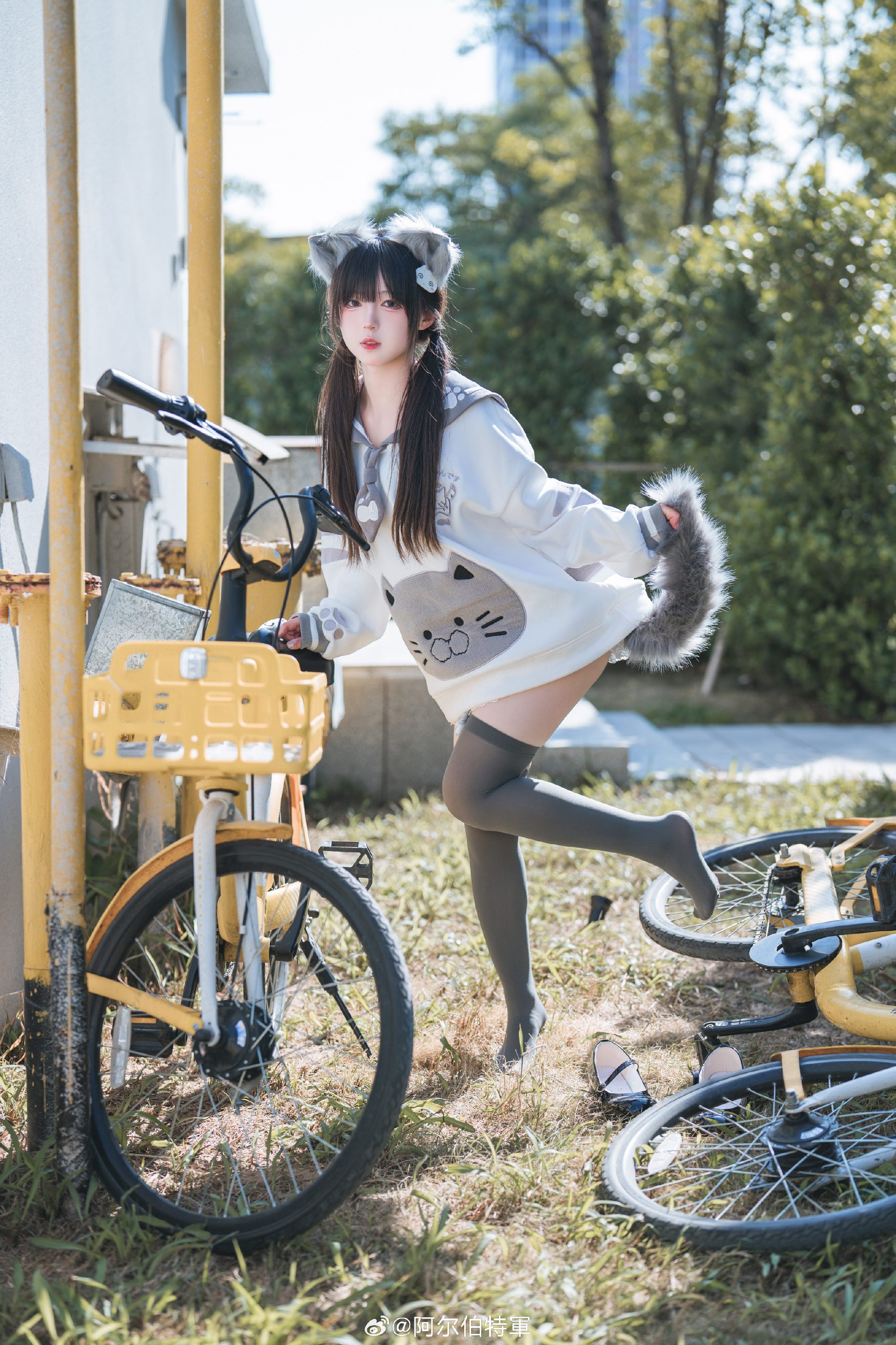 摄影图册 | 走，载你去嗦小鱼干！