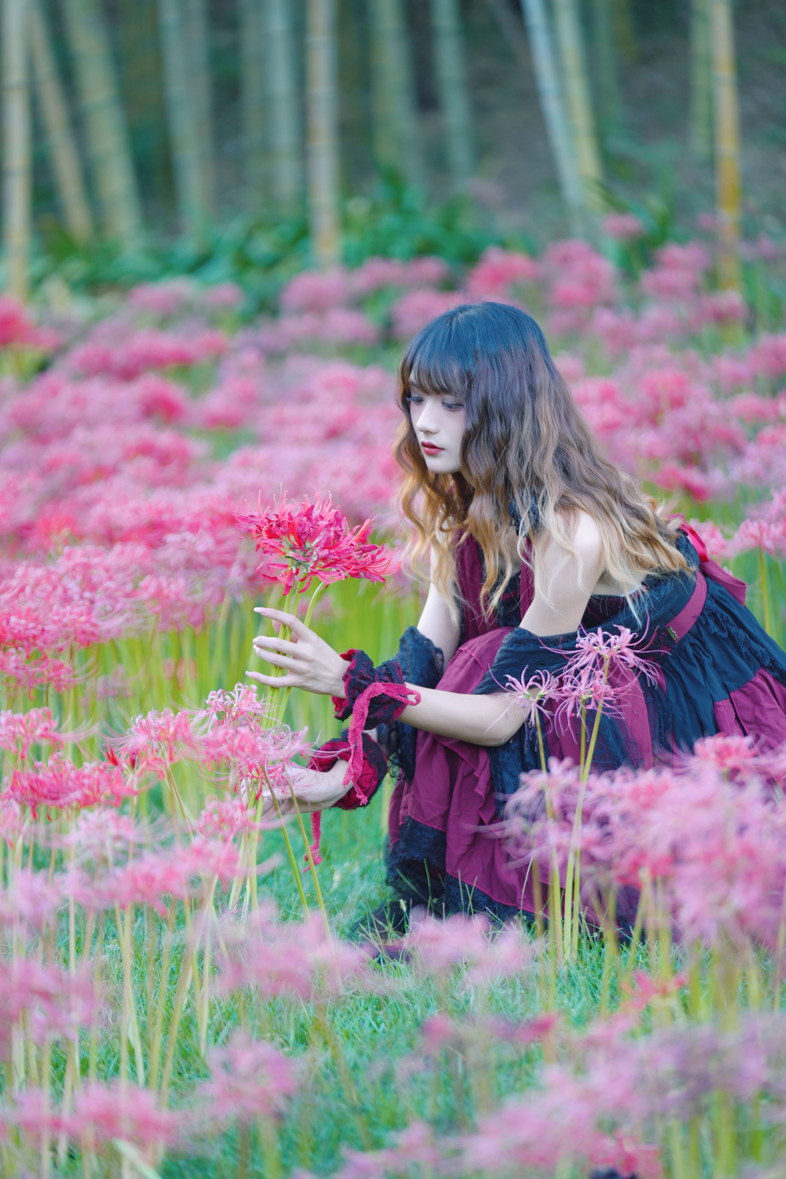 彼岸珠华_兔子Zzz不吃胡萝卜 – 写真美图作品在线欣赏