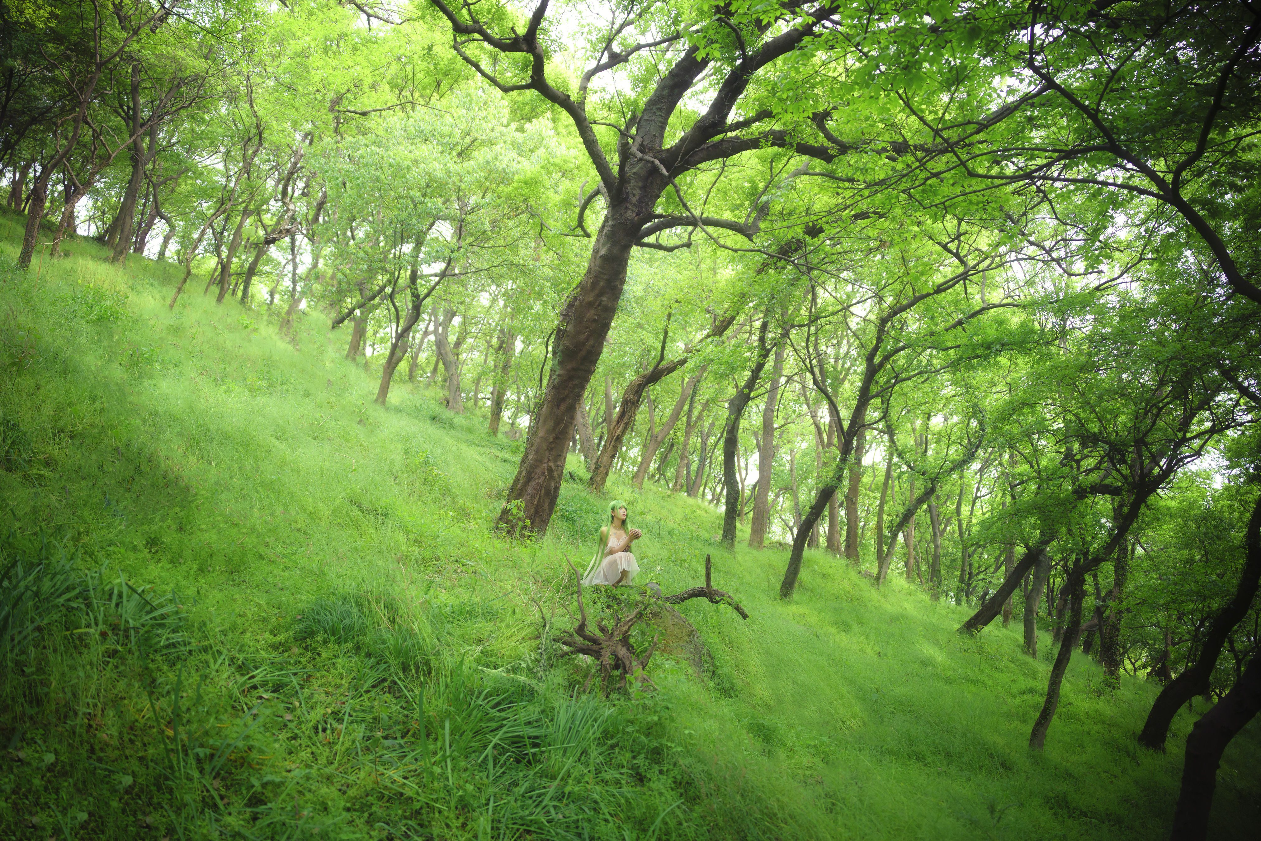 万物生长_小熊 – 美图作品图片欣赏