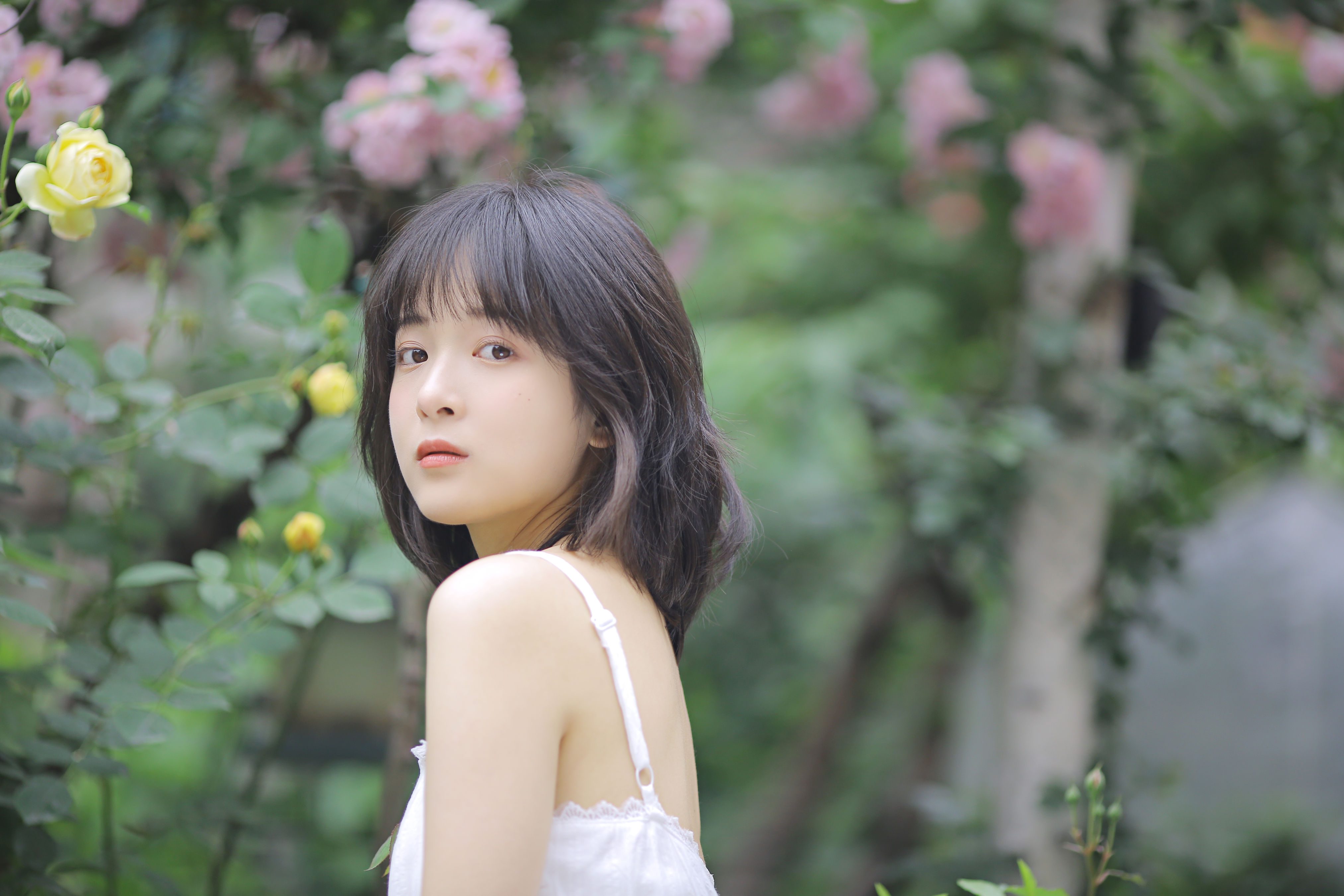 花期已致 美好如初_甜酒八號 – 写真美图作品在线欣赏