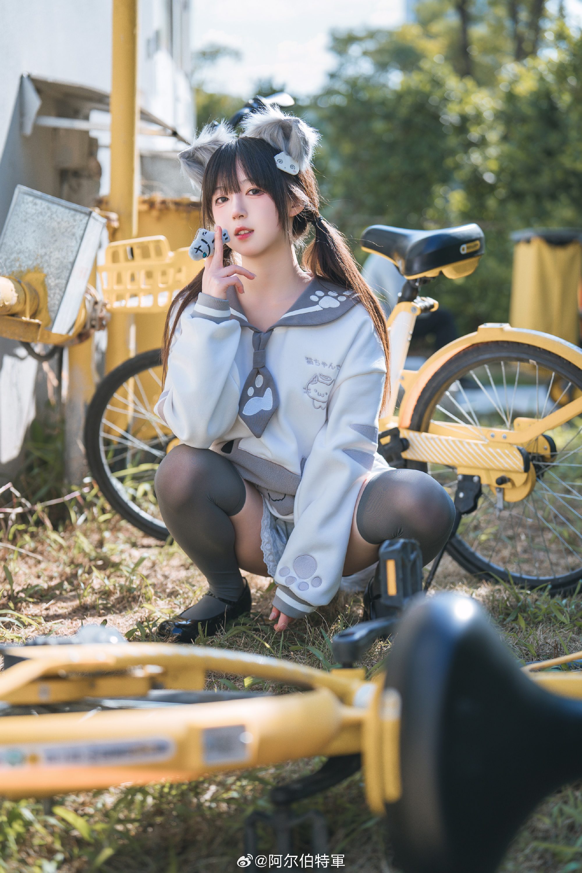 摄影图册 | 走，载你去嗦小鱼干！