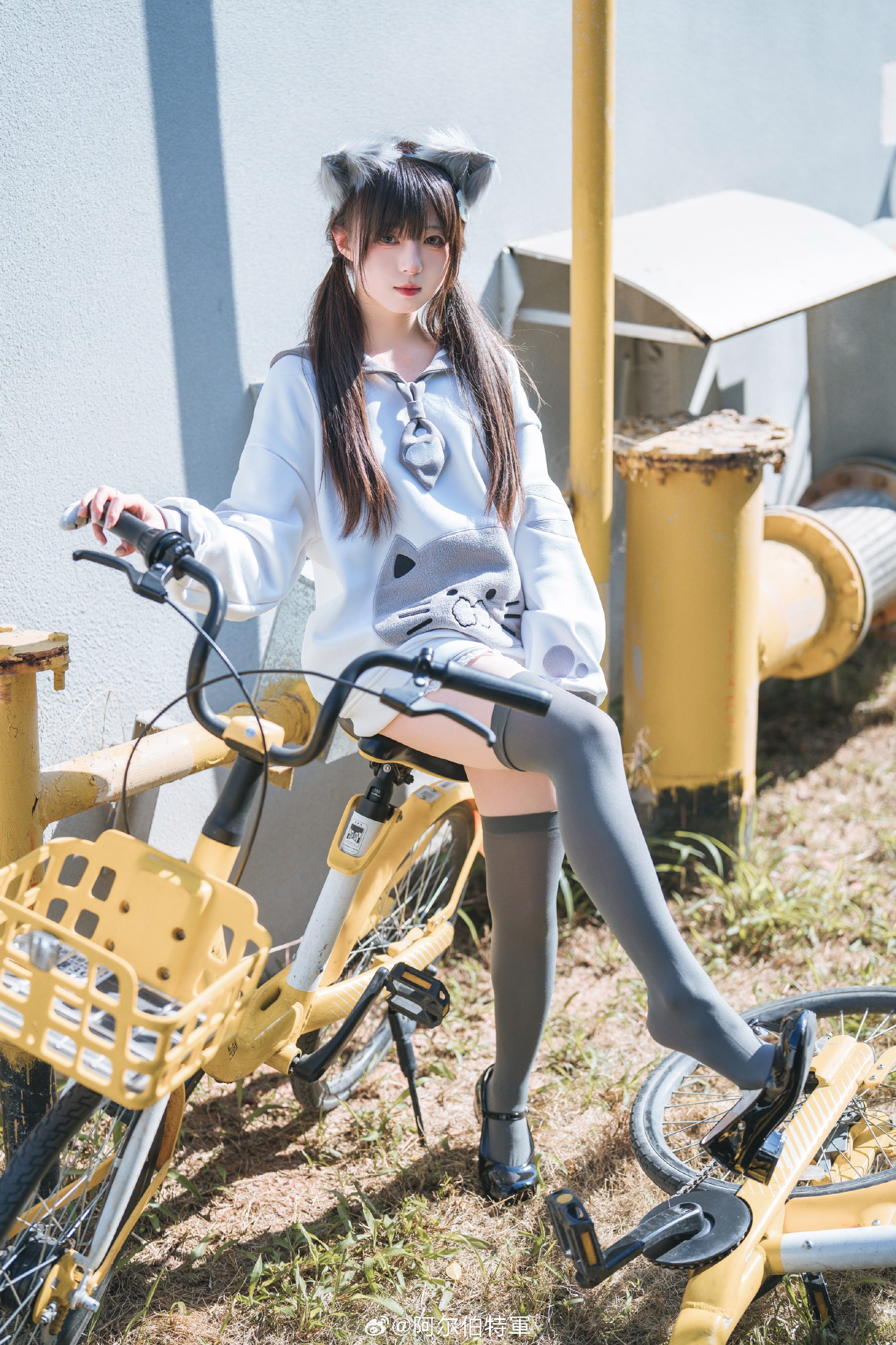 摄影图册 | 走，载你去嗦小鱼干！