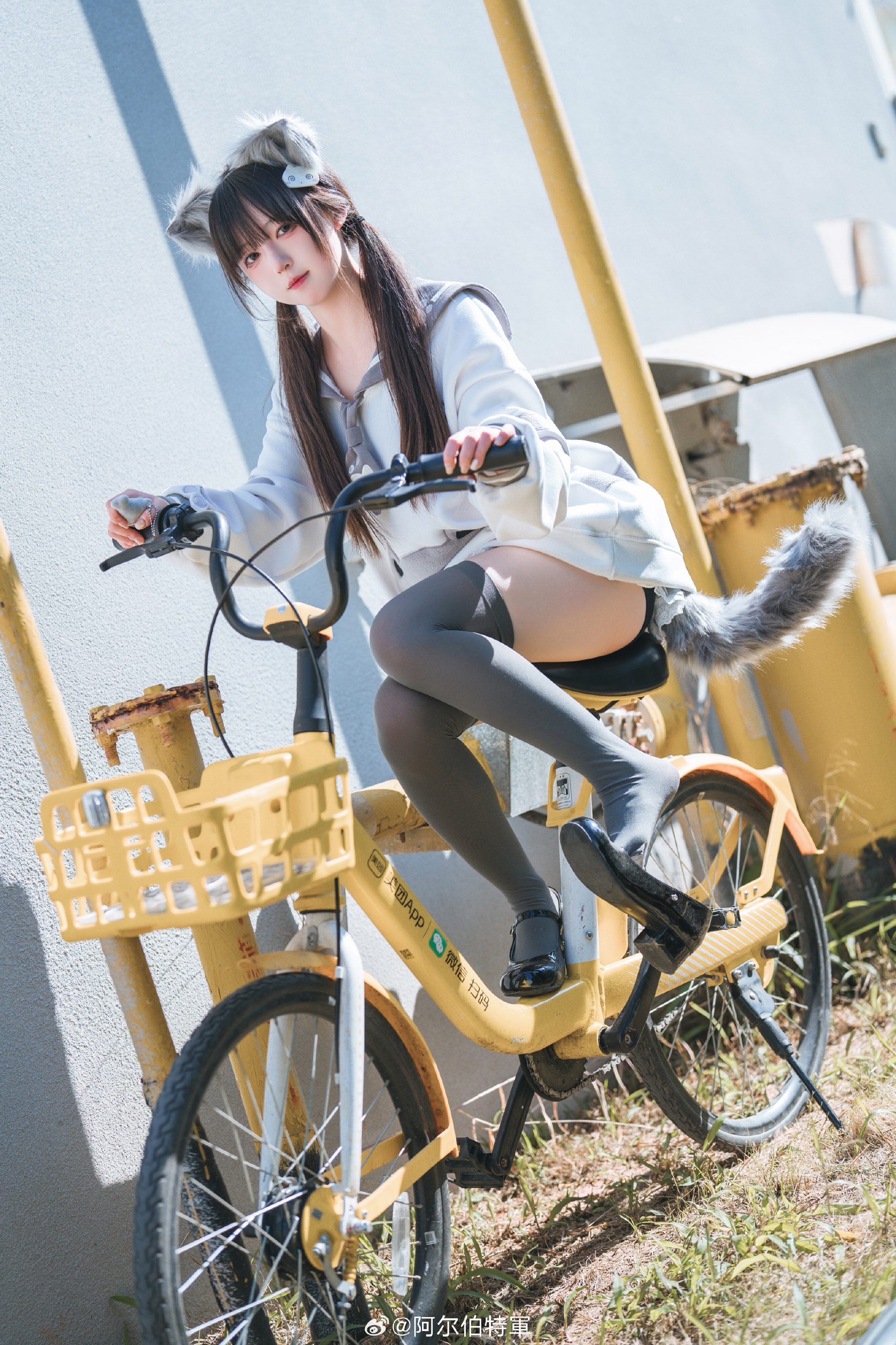 摄影图册 | 走，载你去嗦小鱼干！