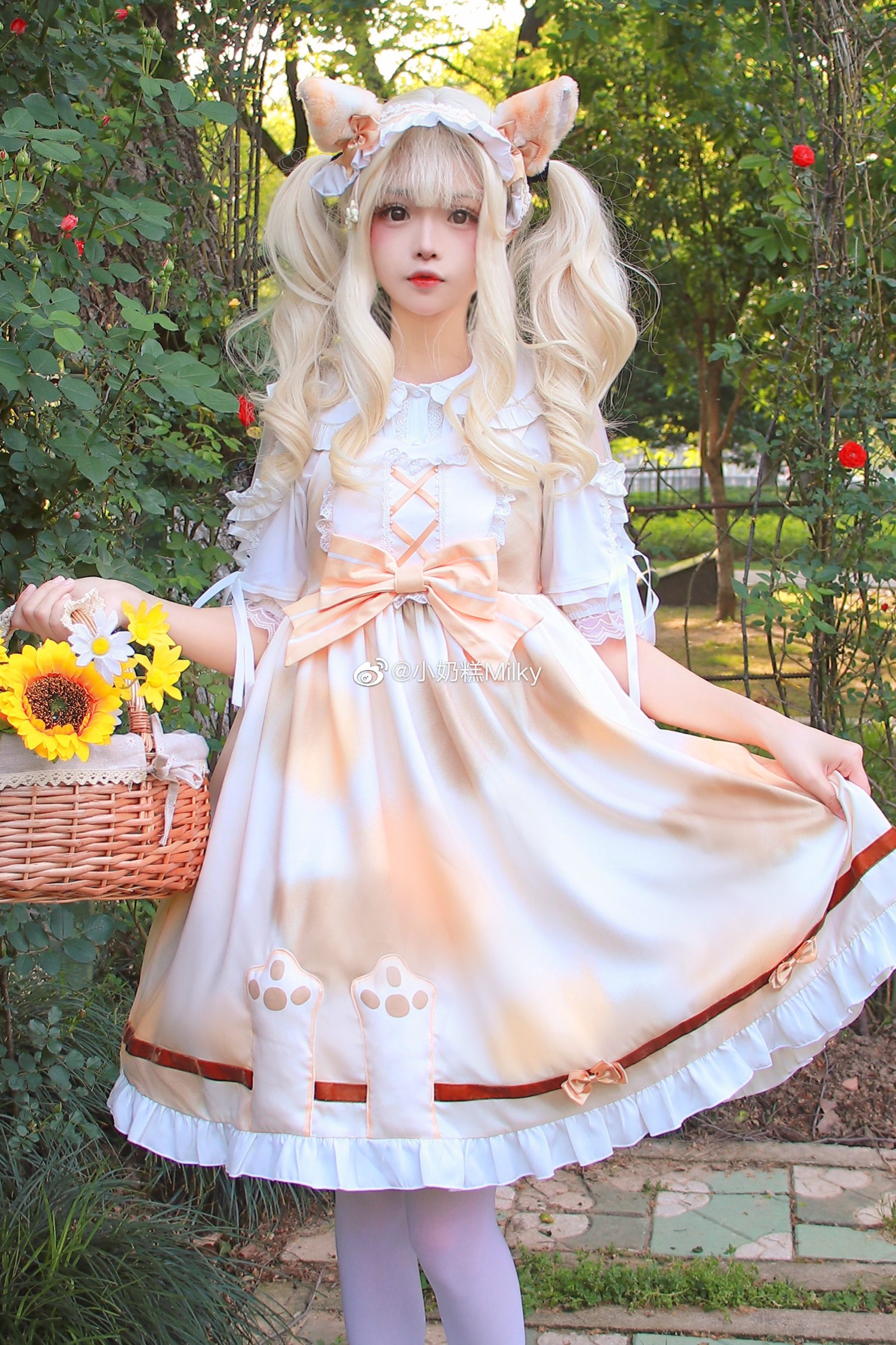 听了风的话我去了想去的地方