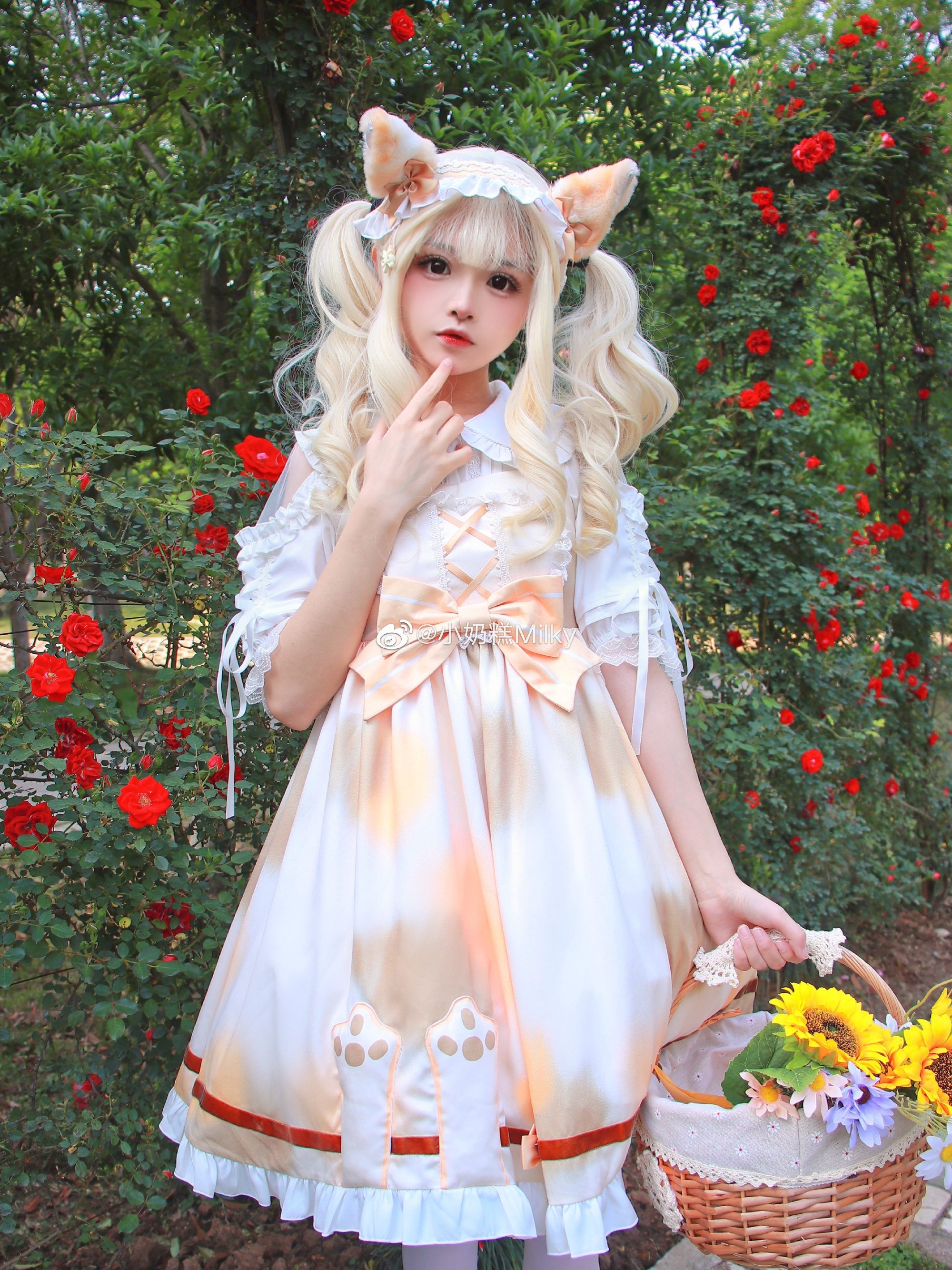 听了风的话我去了想去的地方