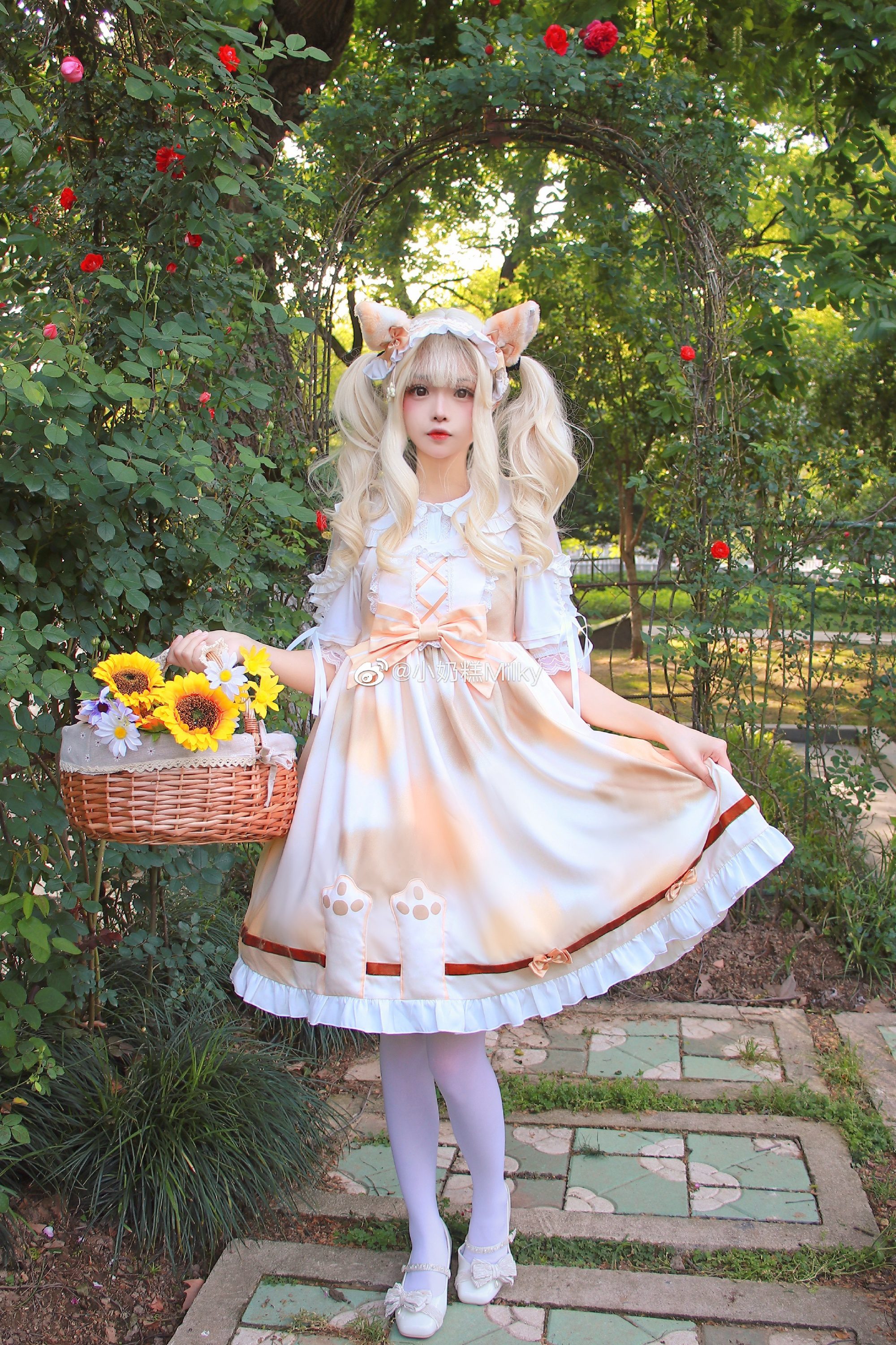 听了风的话我去了想去的地方