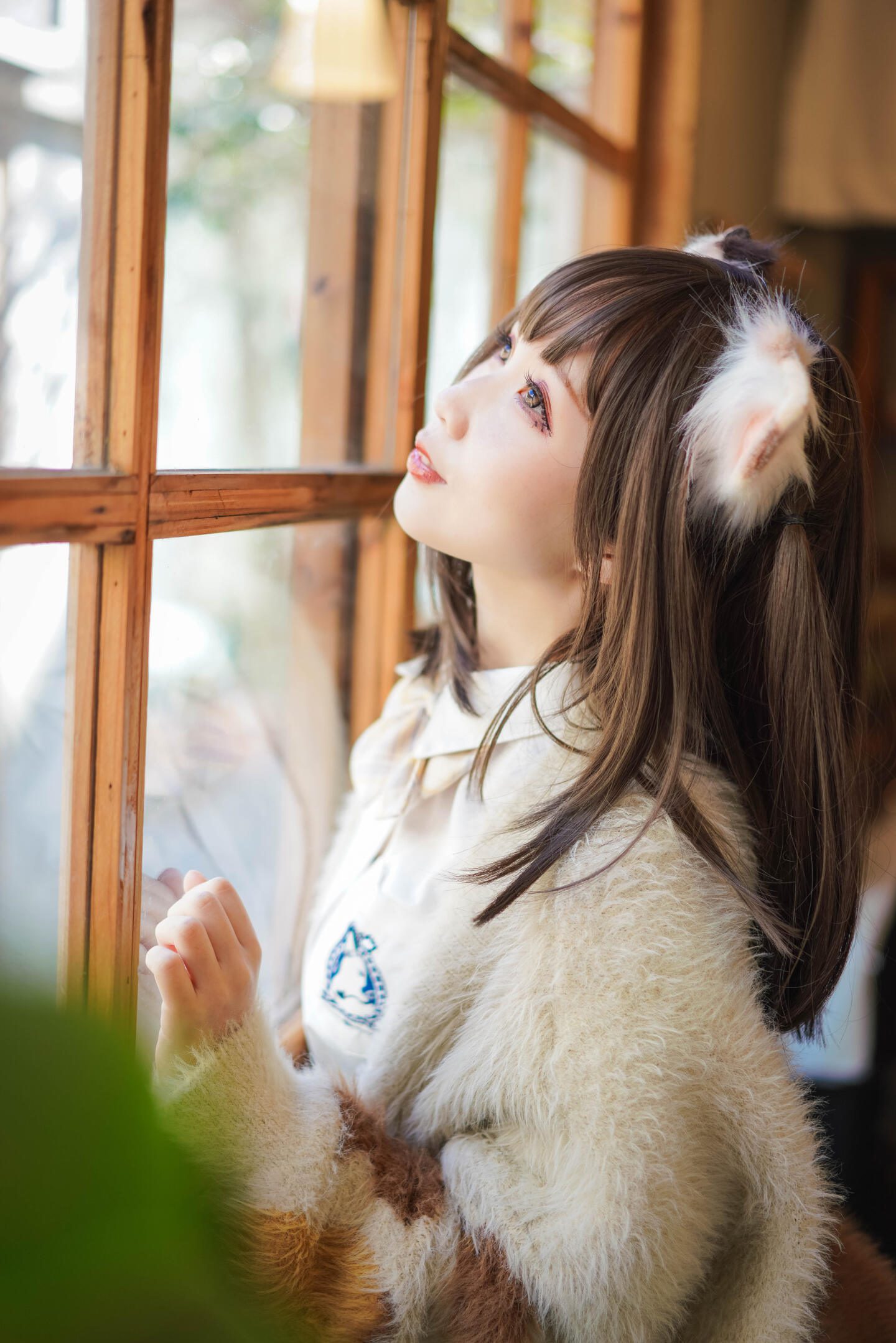 阳光下的JK猫猫:温馨日常记录-远影归灯