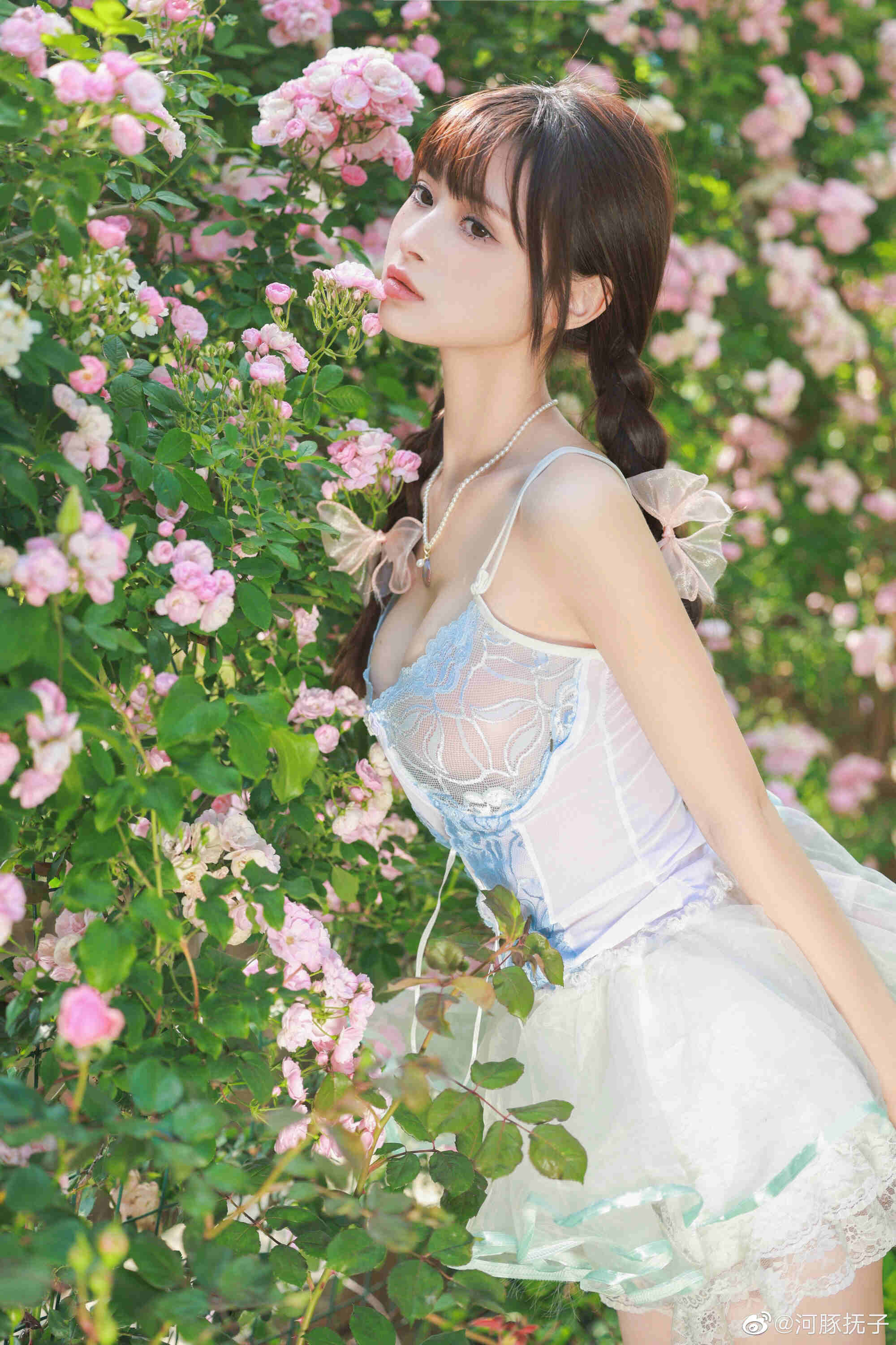 五月的鲜花 更个甜甜的花?‍♀️疏解一下心情