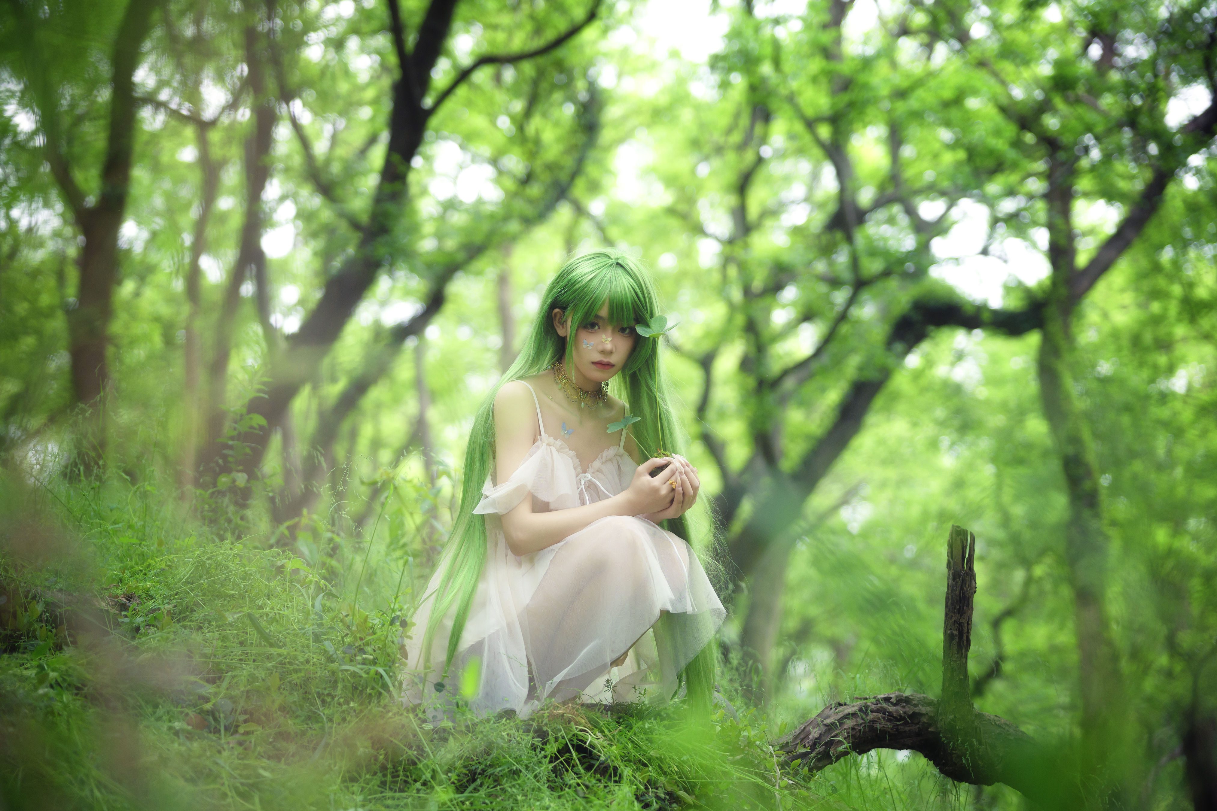 万物生长_小熊 – 美图作品图片欣赏