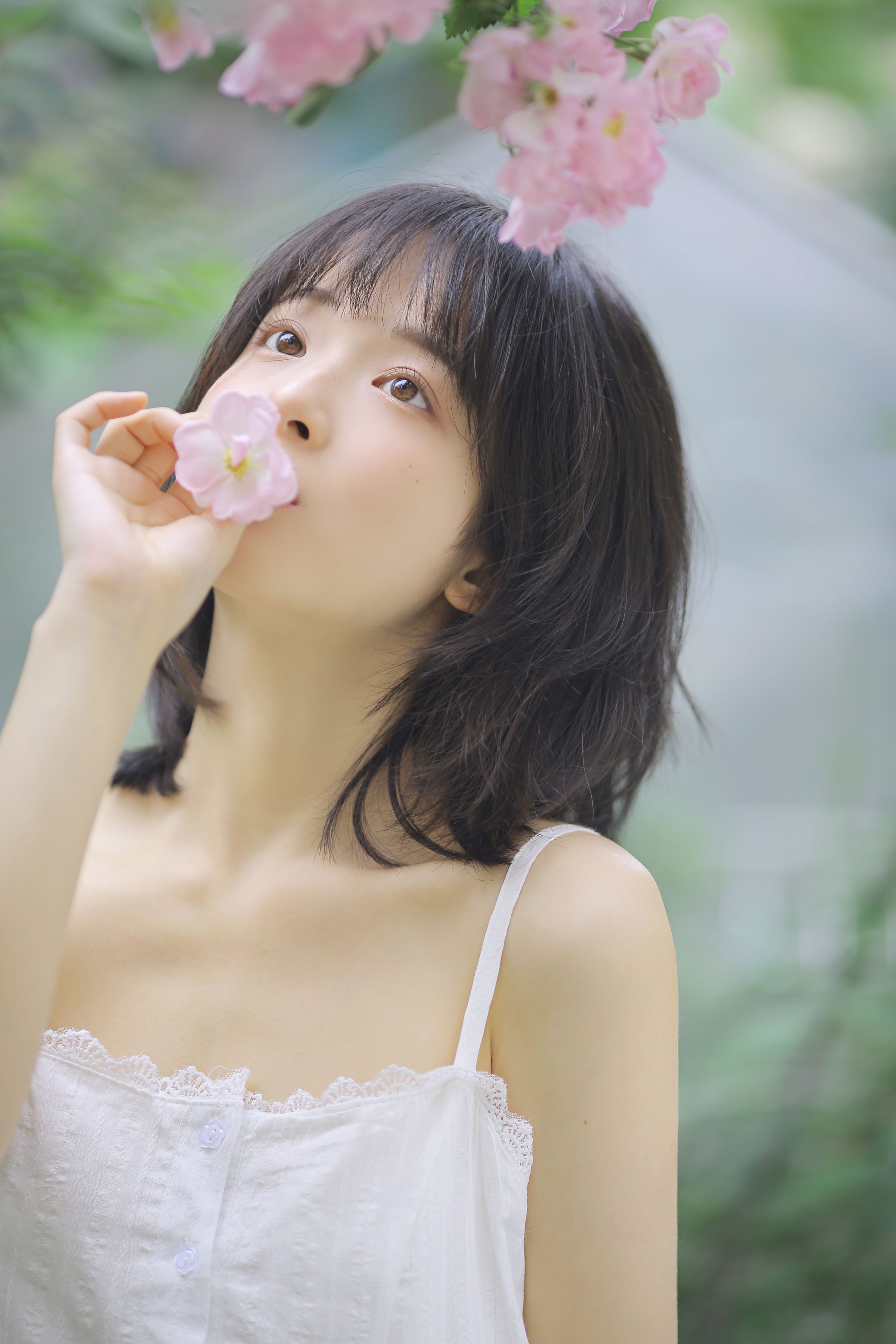 花期已致 美好如初_甜酒八號 – 写真美图作品在线欣赏