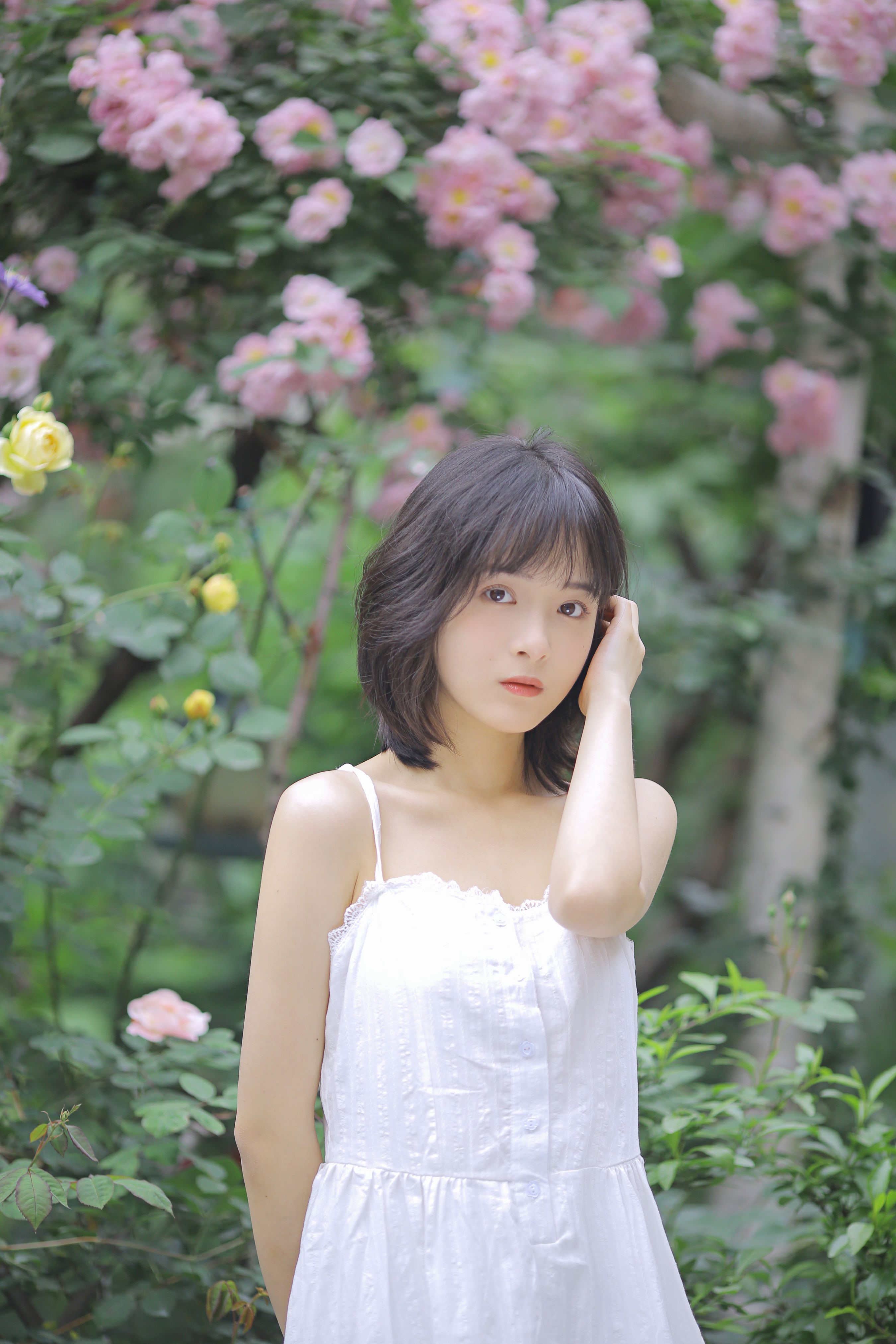 花期已致 美好如初_甜酒八號 – 写真美图作品在线欣赏