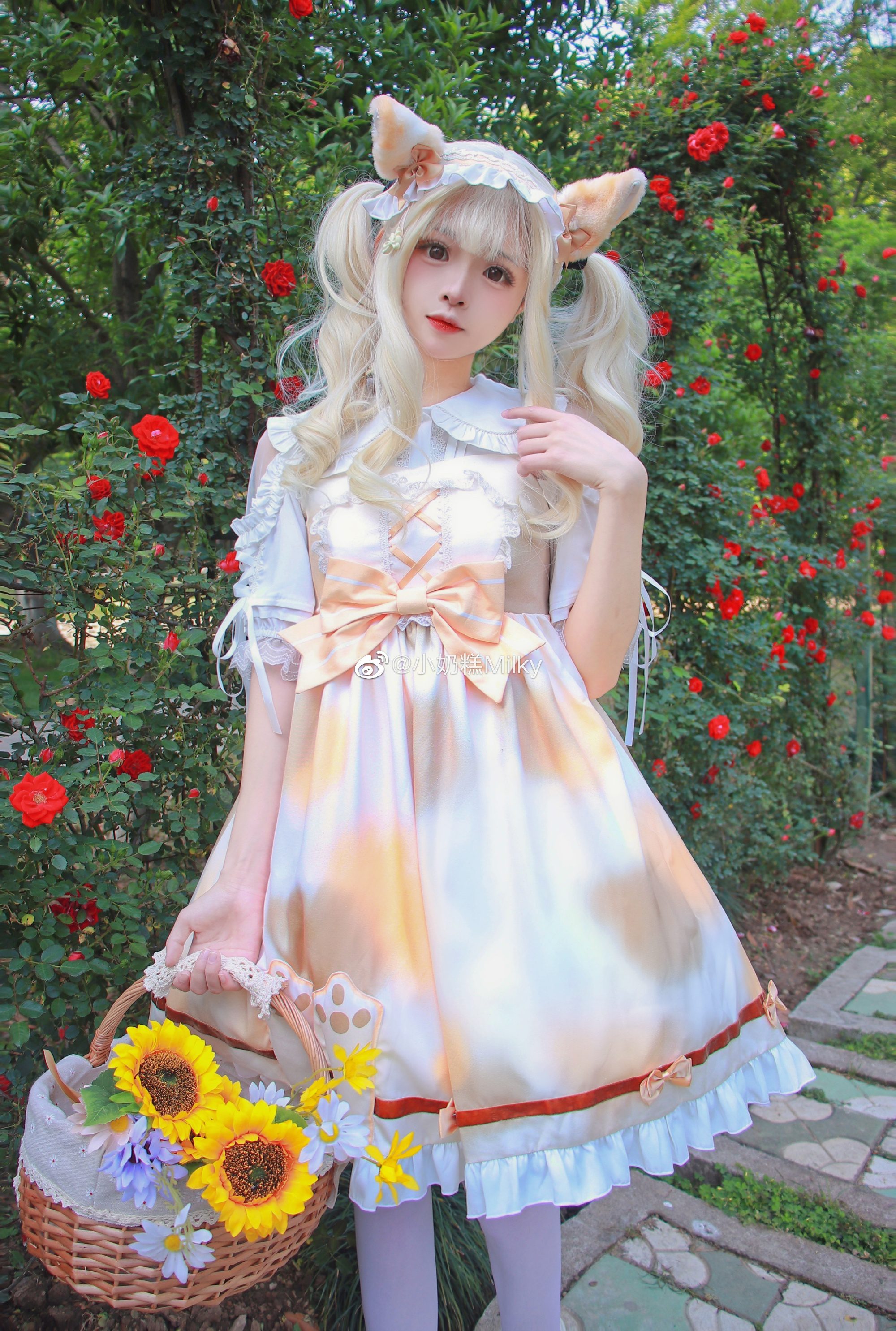 听了风的话我去了想去的地方