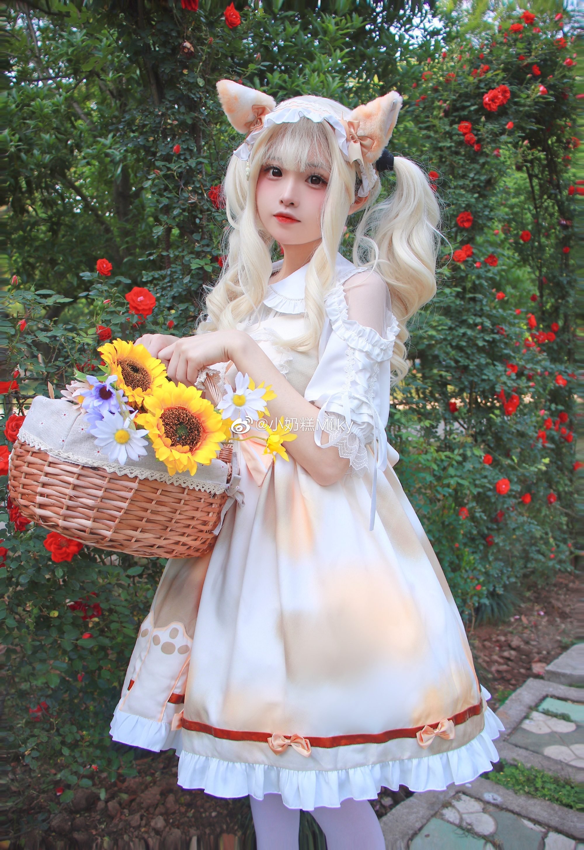 听了风的话我去了想去的地方