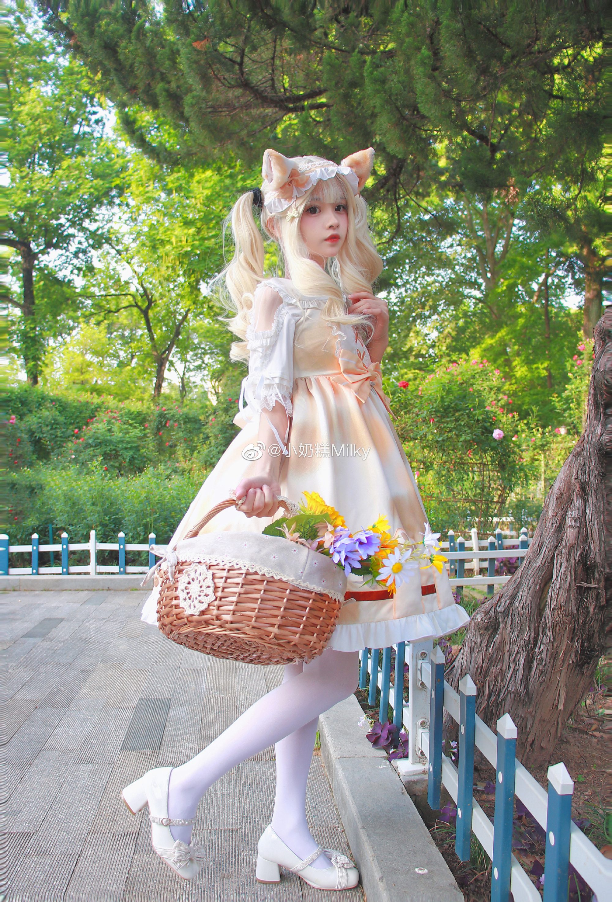 听了风的话我去了想去的地方