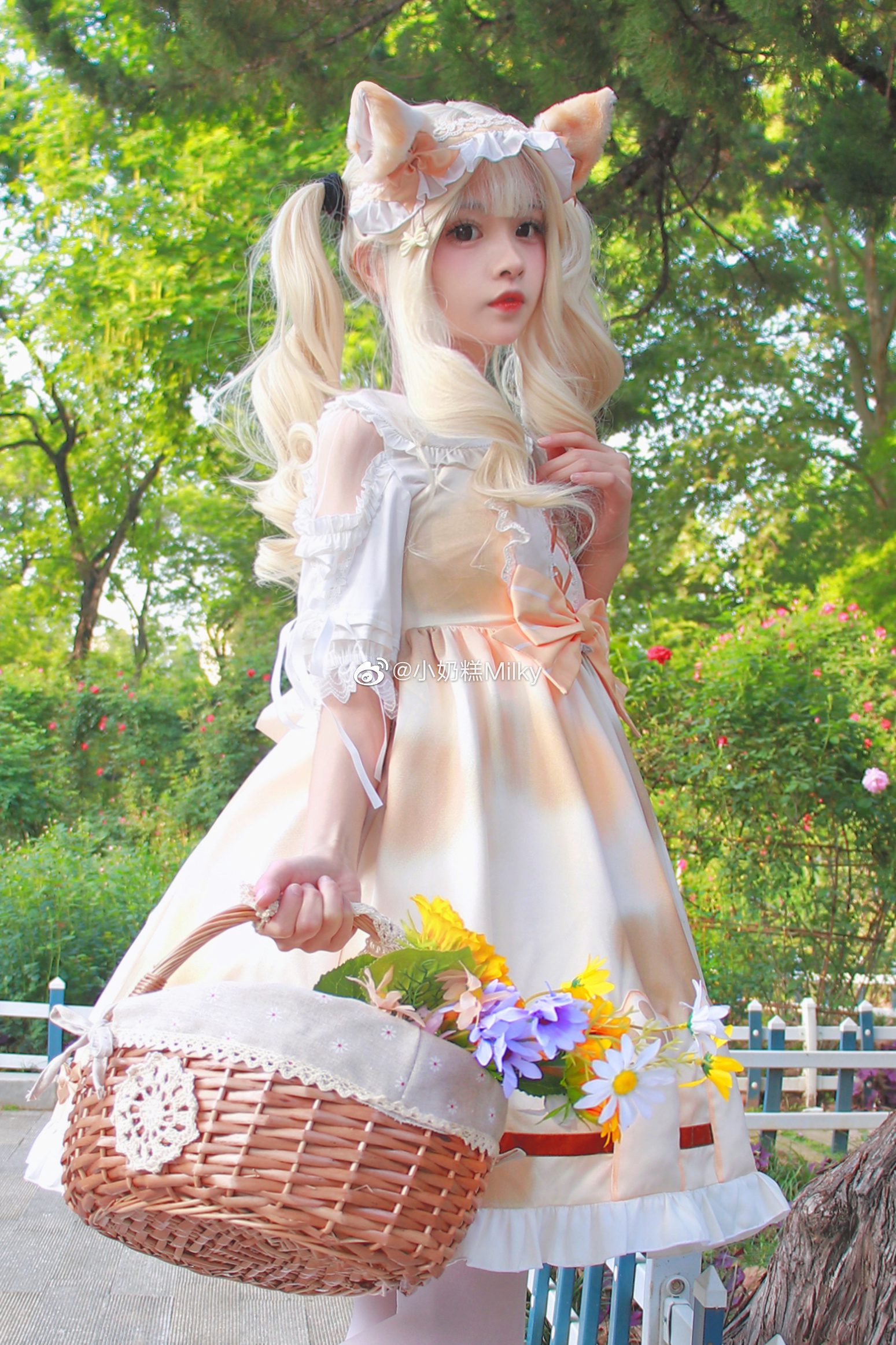 听了风的话我去了想去的地方