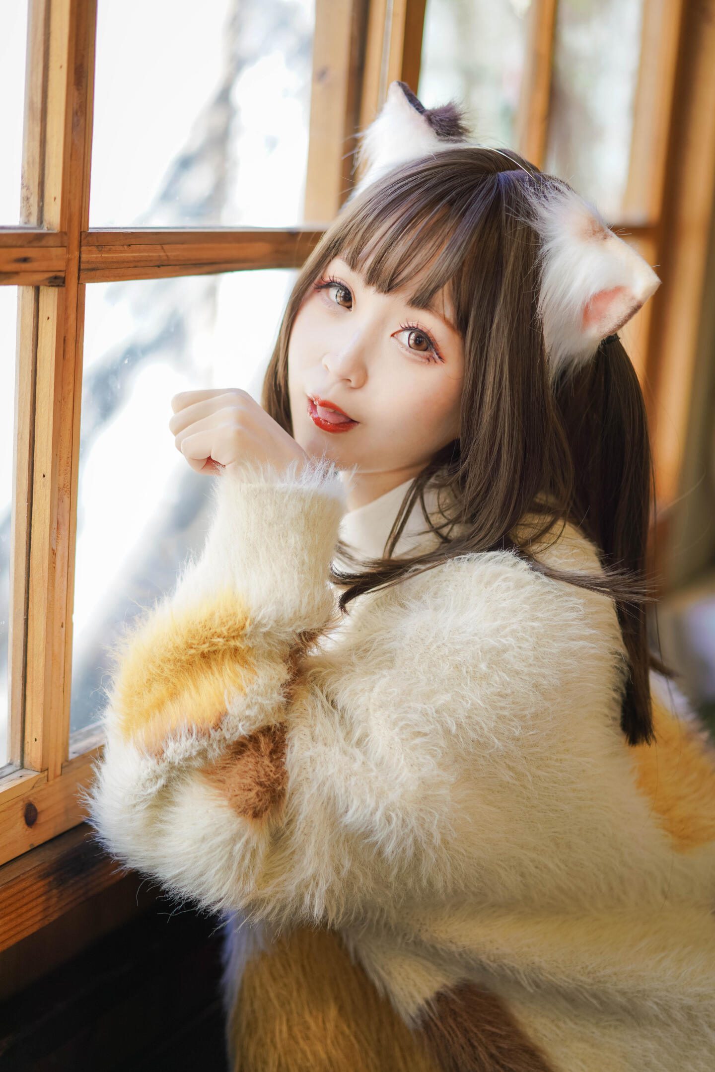 在阳光明媚的一天下记录的JK猫猫日常