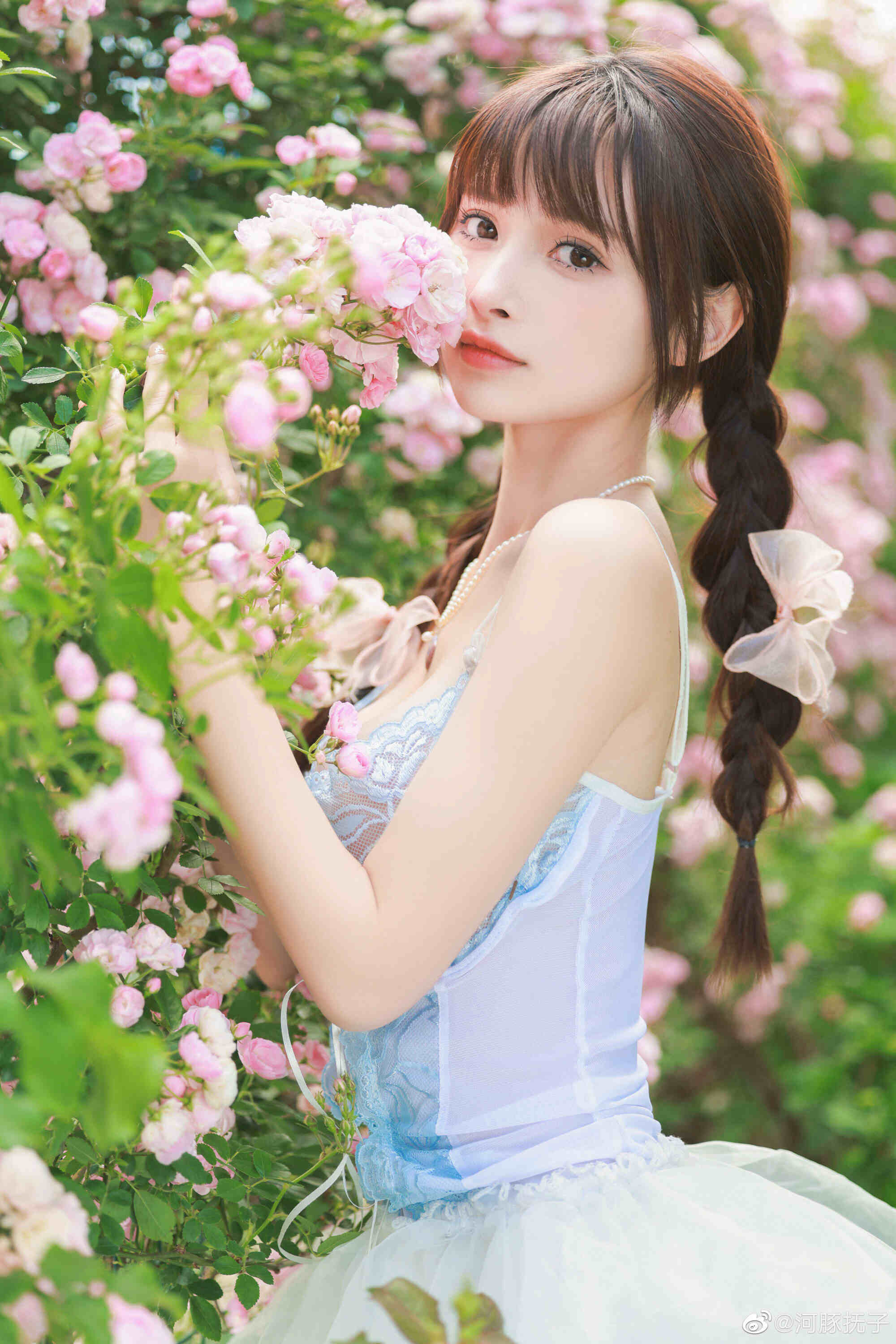 2023072907320055.jpg 五月的鲜花 更个甜甜的花?♀️疏解一下心情