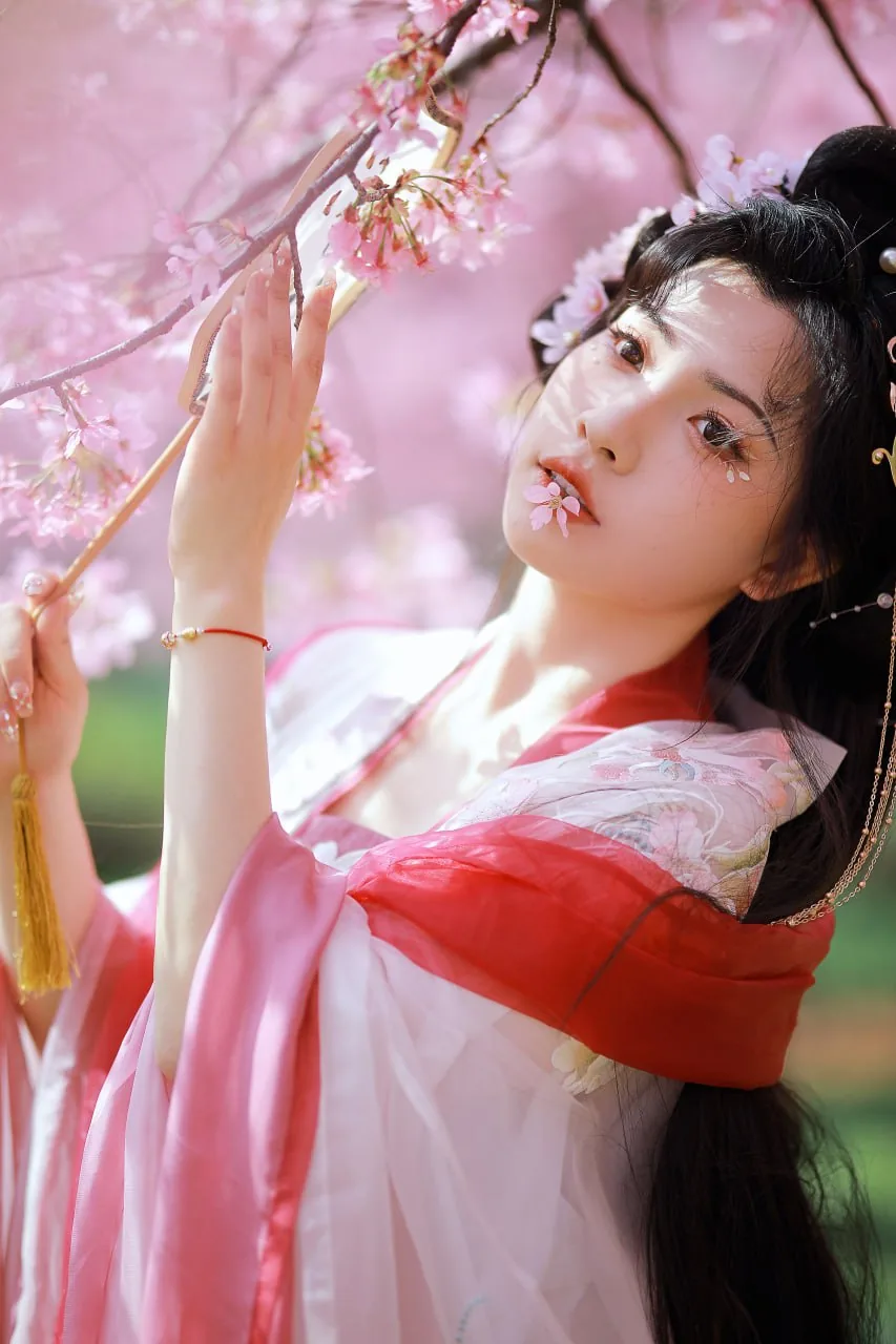 粉袖执团扇 · 樱花林汉服外景人像（06）