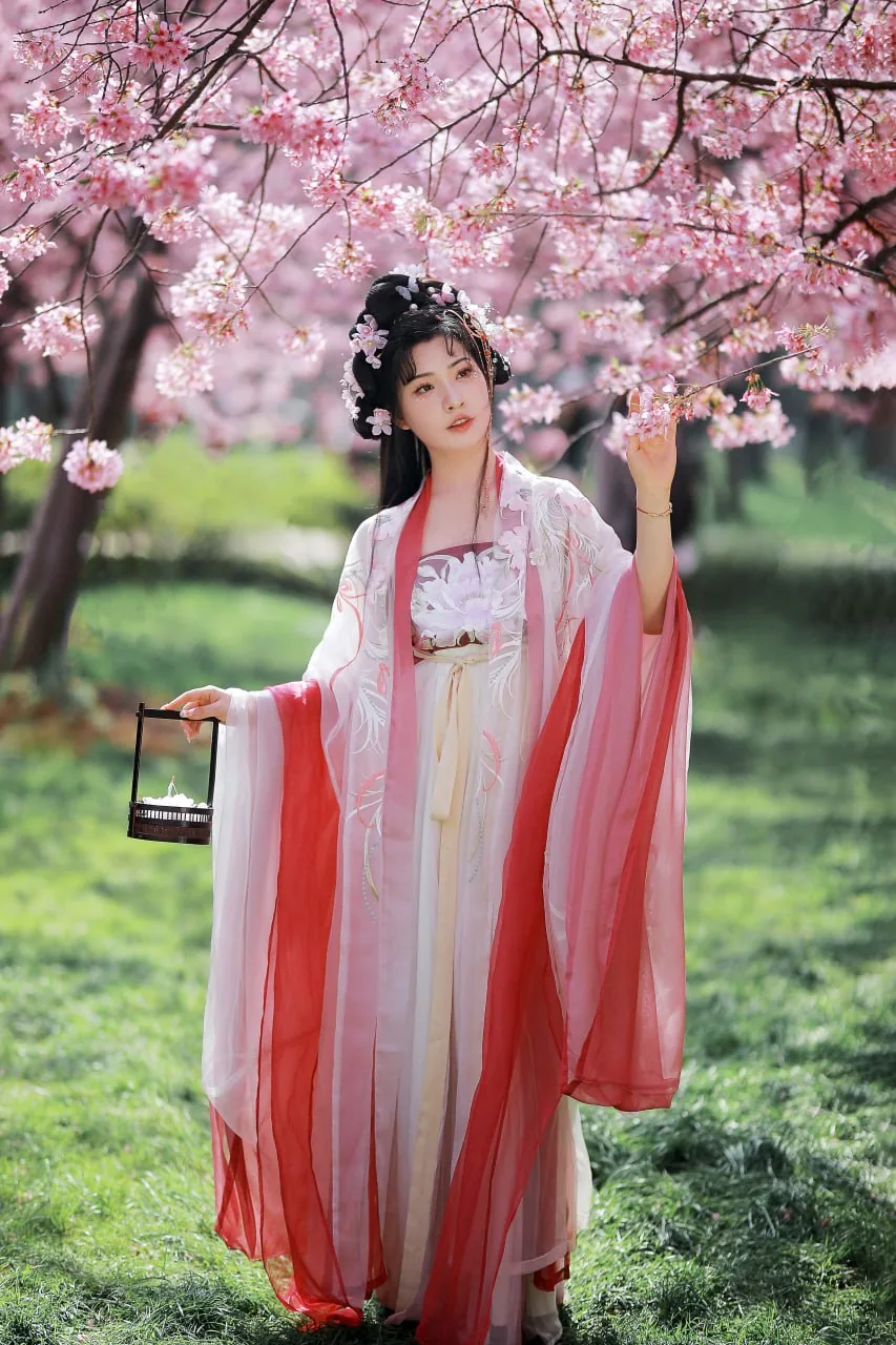 白裙仰樱衔花 · 春日汉服外景人像（09）