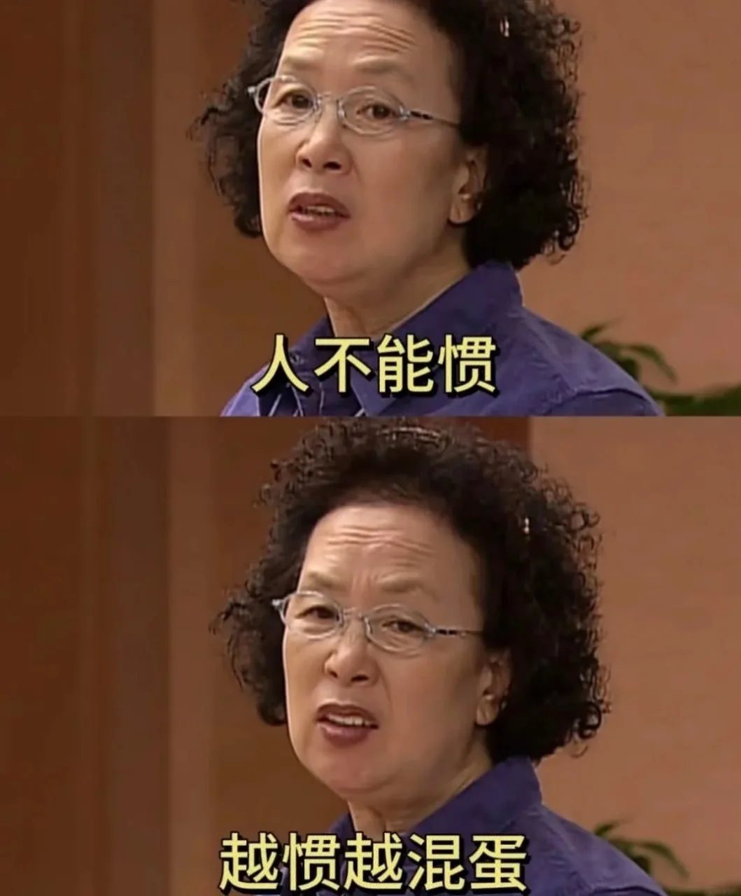 卷发眼镜阿姨 · 日常吐槽表情梗图（08）